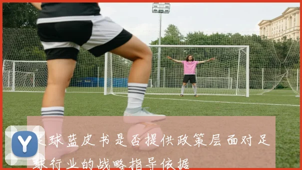 足球蓝皮书是否提供政策层面对足球行业的战略指导依据