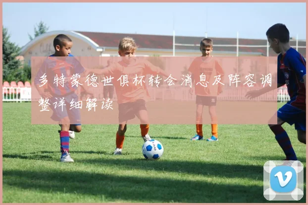 多特蒙德世俱杯转会消息及阵容调整详细解读